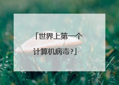 世界上第一个计算机病毒?