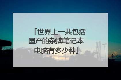 世界上一共包括国产的杂牌笔记本电脑有多少种