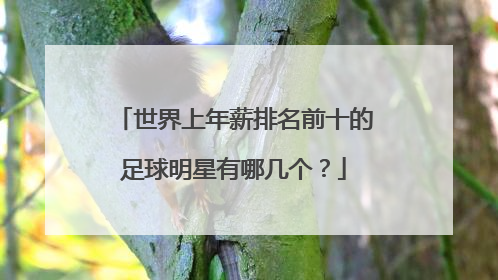 世界上年薪排名前十的足球明星有哪几个？