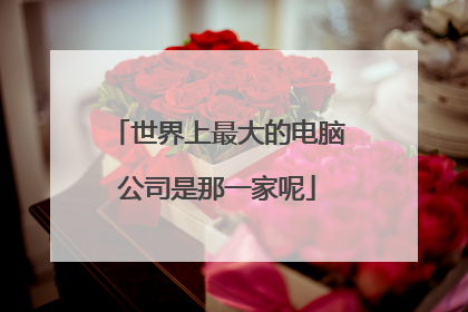 世界上最大的电脑公司是那一家呢