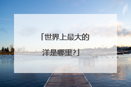 世界上最大的洋是哪里?