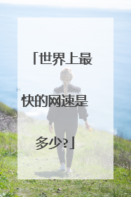世界上最快的网速是多少?