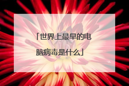 世界上最早的电脑病毒是什么