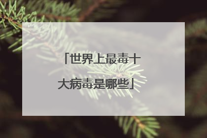 世界上最毒十大病毒是哪些