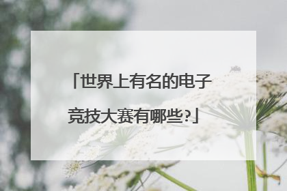 世界上有名的电子竞技大赛有哪些?