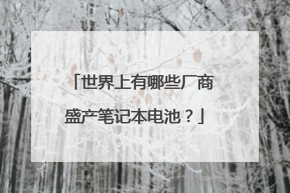 世界上有哪些厂商盛产笔记本电池?