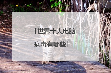 世界十大电脑病毒有哪些