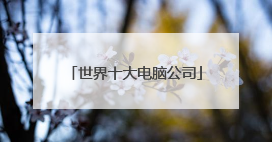世界十大电脑公司