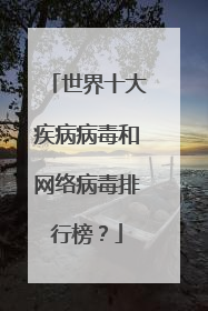 世界十大疾病病毒和网络病毒排行榜?