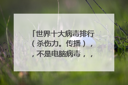 世界十大病毒排行(杀伤力。传播),,不是电脑病毒,,,我知道的伊波拉不知道排第几