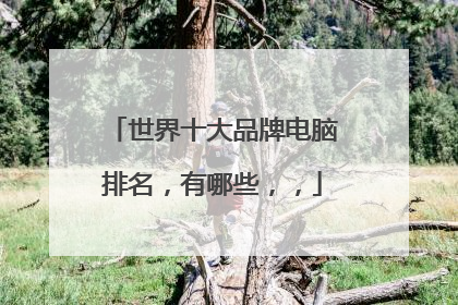 世界十大品牌电脑排名,有哪些,,
