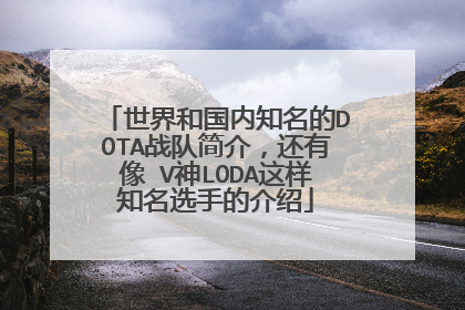 世界和国内知名的DOTA战队简介，还有像 V神LODA这样知名选手的介绍
