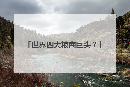 世界四大粮商巨头？