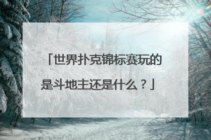世界扑克锦标赛玩的是斗地主还是什么?