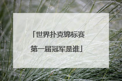 世界扑克锦标赛 第一届冠军是谁