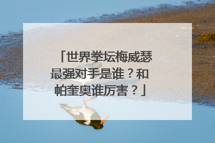 世界拳坛梅威瑟最强对手是谁?和帕奎奥谁厉害?