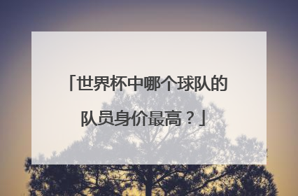 世界杯中哪个球队的 队员身价最高？