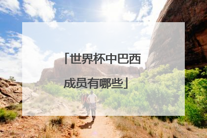 世界杯中巴西成员有哪些