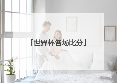 世界杯各场比分