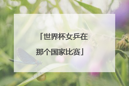 世界杯女乒在那个国家比赛