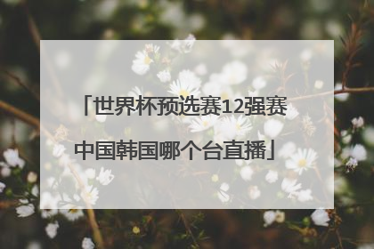 世界杯预选赛12强赛中国韩国哪个台直播