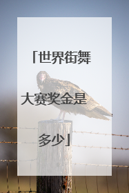 世界街舞大赛奖金是多少