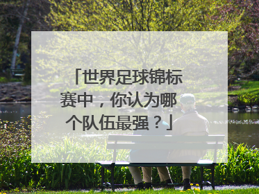 世界足球锦标赛中，你认为哪个队伍最强？