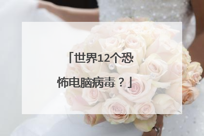 世界12个恐怖电脑病毒？