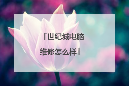 世纪城电脑维修怎么样