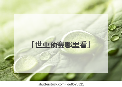 世亚预赛哪里看