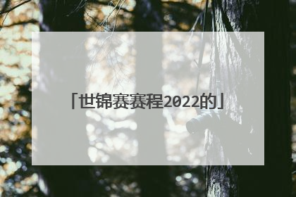 世锦赛赛程2022的