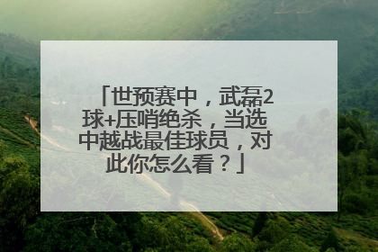 世预赛中,武磊2球+压哨绝杀,当选中越战最佳球员,对此你怎么看?
