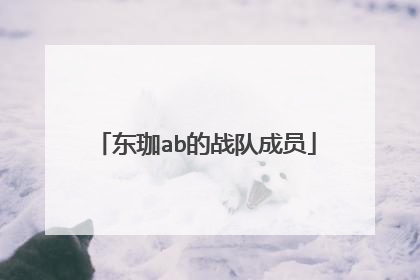 东珈ab的战队成员