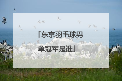 东京羽毛球男单冠军是谁