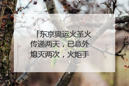 东京奥运火圣火传递两天，已意外熄灭两次，火炬手当时有何反应？