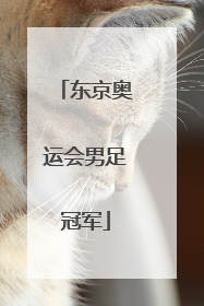 东京奥运会男足冠军