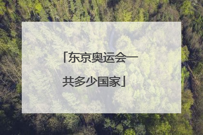 东京奥运会一共多少国家