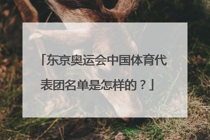 东京奥运会中国体育代表团名单是怎样的?