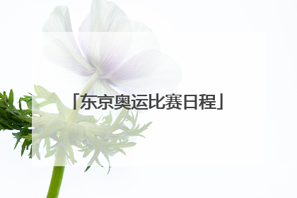 东京奥运比赛日程