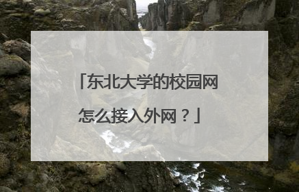 东北大学的校园网怎么接入外网?