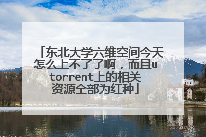 东北大学六维空间今天怎么上不了了啊,而且utorrent上的相关资源全部为红种
