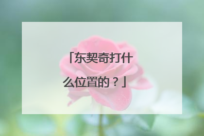 东契奇打什么位置的？