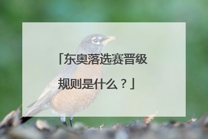 东奥落选赛晋级规则是什么？