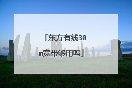 东方有线30m宽带够用吗