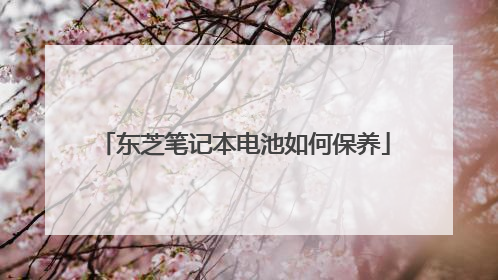 东芝笔记本电池如何保养