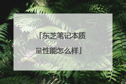 东芝笔记本质量性能怎么样