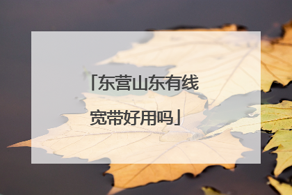 东营山东有线宽带好用吗