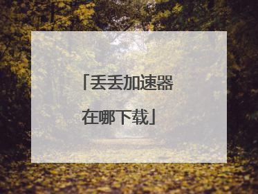丢丢加速器在哪下载