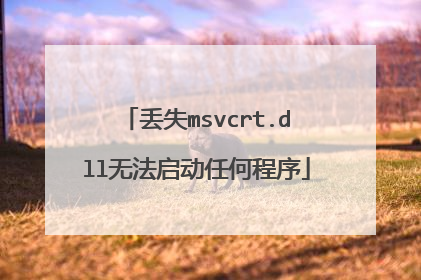 丢失msvcrt.dll无法启动任何程序