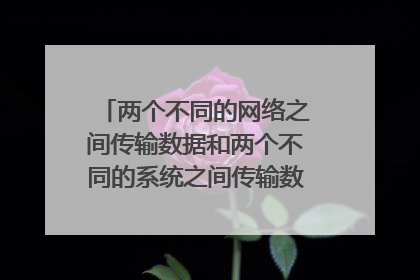 两个不同的网络之间传输数据和两个不同的系统之间传输数据分别是怎么完成的？请高手指教！